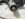 20190428_125149.jpg