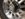 B71C4045-377E-4CE8-9E90-4D2EF585800A.jpeg