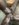 1F7C0024-0295-444D-B69A-84210AF4CC48.jpeg