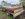 CE6C3DE0-D68A-422B-828C-941132A37D66.jpeg
