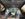 D12E0A9B-26ED-4322-B2E0-8F69ED3B3DDC.jpeg