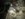 6BD13228-318C-4872-958E-9CA36C6851E9.jpeg
