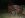 8 31 06 17A Brkr   Buckt Diffy 014.jpg