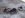 100_0029_resize.JPG