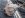 100_0037_resize.JPG