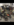 C9A86266-E0DF-4A83-AED4-266029FB9820.png