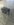 20190504_095949.jpg