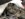 BE2E26DE-E7CD-4B38-BC0A-8080B628D733.jpeg