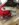 EA13166C-74AC-46DD-9F8C-2B794D807A96.jpeg