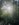69A3EB9A-D8B5-474A-B448-9D93B1945454.jpeg