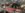 D60crossoveraxle.JPG.jpg D60crossoveraxle.JPG.jpg