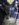 DDDFCFCF-4BC5-4AEC-B647-AB63C90B0EC9.jpeg