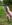 20190516_183101.jpg