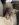 C64318BE-A5D1-4ED3-BAC1-7DF4A7CED376.jpeg