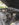 B86ED357-9449-4B01-A971-61BB92BD8D57.jpeg