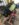 0F6D2D10-0015-4F4E-BAAB-703CE22F0583.jpeg