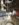 1F532E38-EB68-4C95-811F-6F436454F986.jpeg