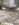 ADB172B5-C075-4B4C-8539-5B6BC299B48C.jpeg