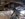 20190508_152955.jpg