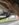 98A7D378-76F7-44A6-876B-2E1A9FC66741.jpeg