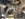 56634883-4668-4EDD-9E9F-09FCD1863210.jpeg