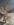 20190520_184518.jpg