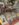 6E77244B-C129-4A38-AE9D-3AC03B9C33BF.jpeg