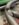 D179F3E9-E78D-4CF4-9476-B61B18E7A0EB.jpeg