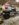 22ADE48C-6564-4F19-88DB-A442A88DD35E.jpeg