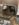 6BEE9722-2870-4708-AE83-1D9AC37AEA22.jpeg
