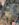6DB8D532-5576-49FA-83DD-FC9114DB2B0D.jpeg