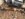 F9B7B174-4946-426E-9513-1EF5FC496107.jpeg