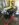 EB11CEBE-A738-488A-9DB7-BB1376A92EF7.jpeg