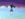 penguin clapping.gif