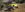 20190525_170658.jpg