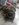 0526191221a_HDR.jpg 0526191221a_HDR.jpg