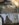 436A146F-776C-4DF8-8119-C47D641A35B2.jpeg