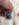 894CD174-ABDC-4CB9-9028-B56EBA9A3D60.jpeg