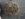 9EC48391-65D7-4E1E-B672-68BDA24876D2.jpeg