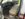 26546FE2-1A51-4315-9440-B0775EEF3C01.jpeg