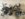 1996 serpentine belt assembly.jpg