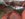 K5_tuffy.jpg K5_tuffy.jpg