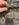 6607DAA7-4DD9-443B-ACF9-EC5819C9A802.jpeg