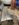 975CC29D-9D8E-40C8-93B2-81E096F6FF8B.jpeg