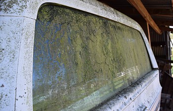 DSC_0053-2.jpg