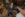 DSC_0133-2.jpg