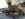 BBDAF190-B689-44FC-9D25-CF343147B6C1.jpeg