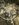 C4BB4964-D0E0-4058-8B7A-8F30D8CE0F6E.jpeg