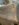 25C291F1-93E9-4F6C-A94C-440D9A5638D6.jpeg