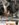 A26D9636-83F2-46F3-8265-9E095398BC7A.jpeg